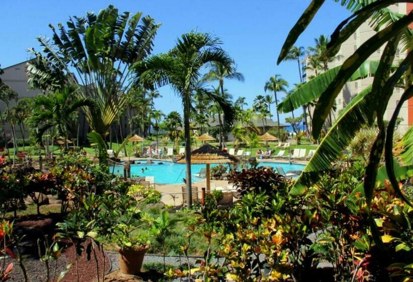Апартаменты 1 Спальня, Kaanapali Shores 806