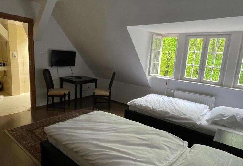 Номер Стандарт, Villa Anser