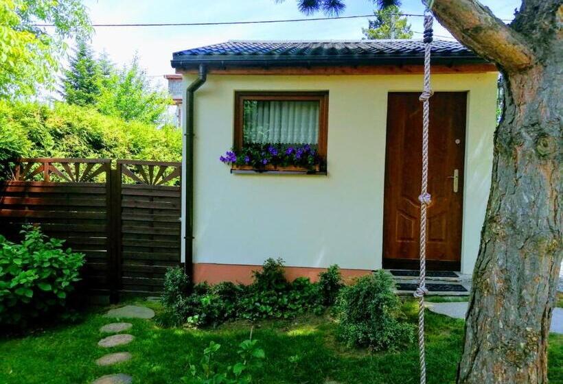 Шале 1 Спальня, Molonówka Guest House