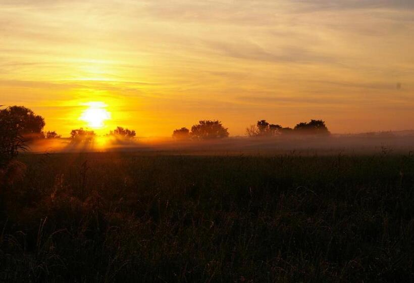 Номер Стандарт, Dom Gościnny Ptaszarnia   Natura Free Parking