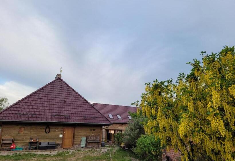 Семейное Студио, Dom Gościnny Ptaszarnia   Natura Free Parking