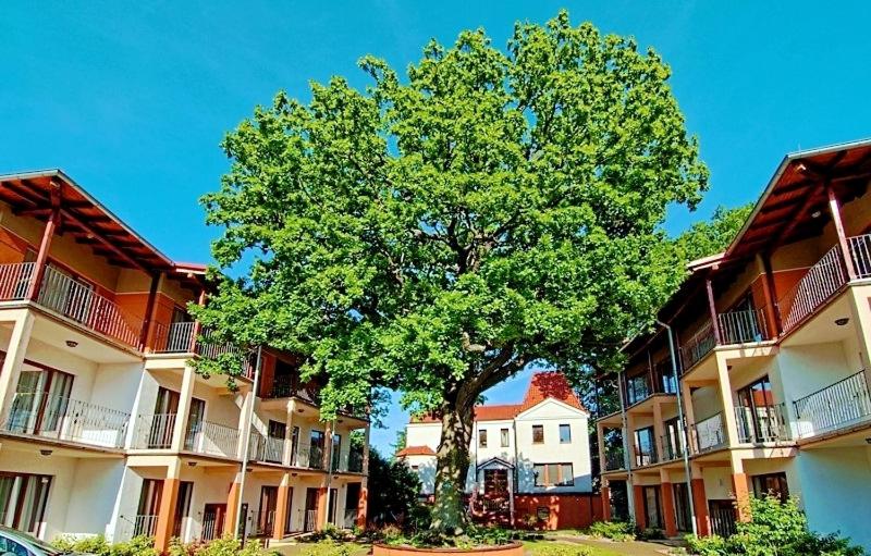 اتاق استاندارد سه تخته با بالکن, Rezydencja 5 Dębów