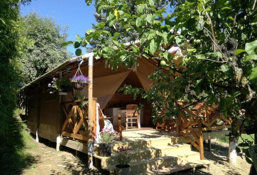 Standard Tent, Willa Panorama Spa