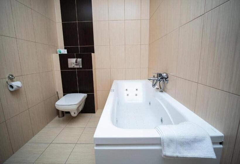 Трехместный Номер Superior, Villa Wernera Hotel & Spa