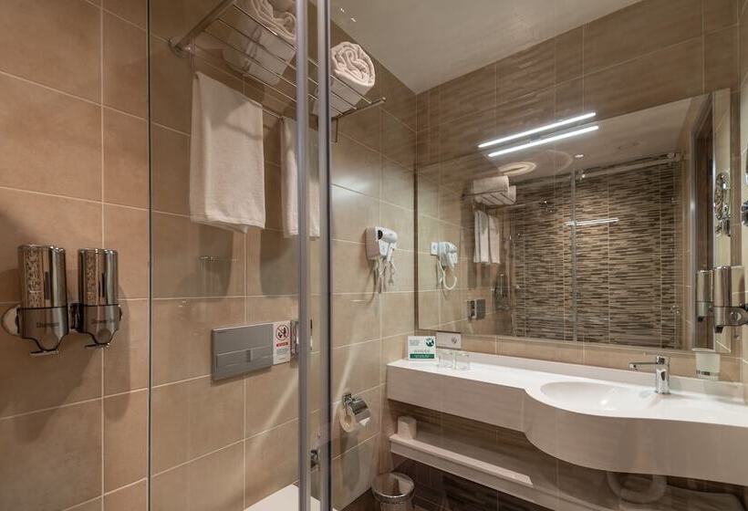스탠다드 룸, Hayasa Hotel Yerevan