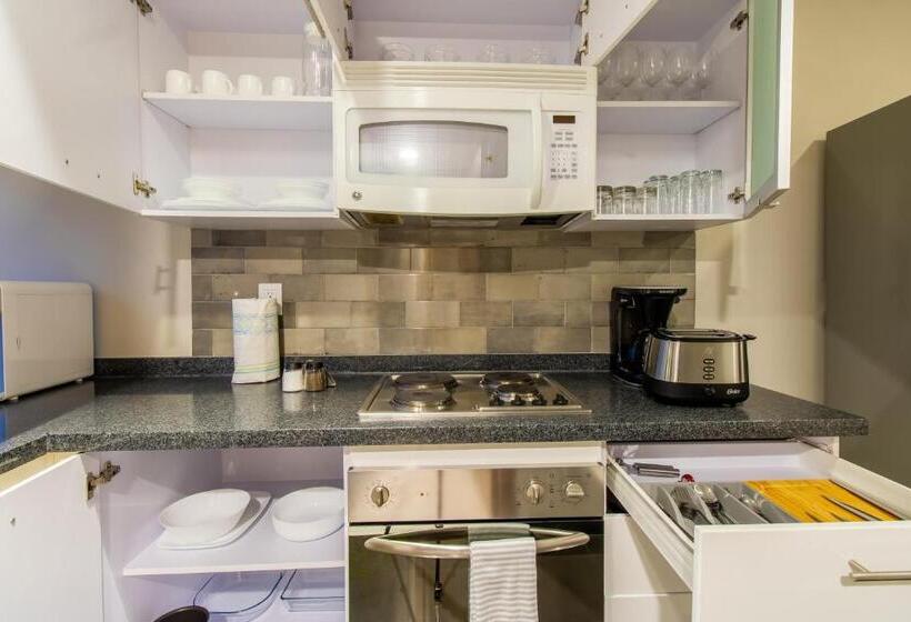 ３ベッドルームアパートメント, Capitalia   Apartments   Reforma Centro