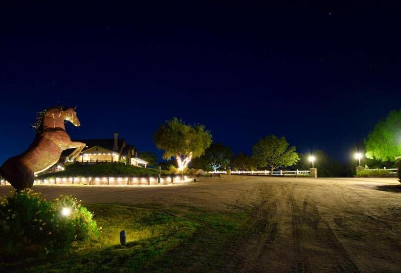 스위트 킹사이즈 침대, Peppertree Lane Ranch    Seven Acre Ranch In The Heart Of Wine Country
