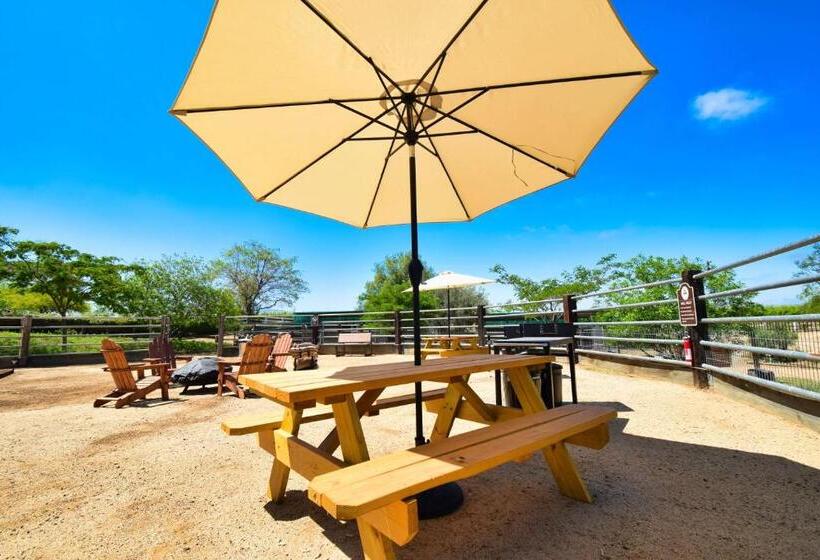 침실 2개 주택, Peppertree Lane Ranch    Seven Acre Ranch In The Heart Of Wine Country