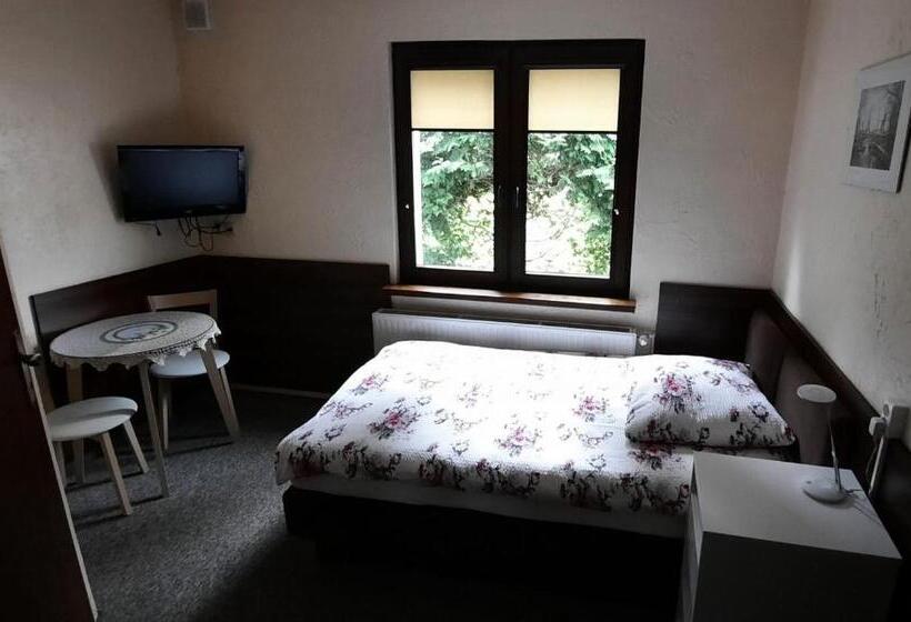اتاق عادی یک تخته, Noclegi