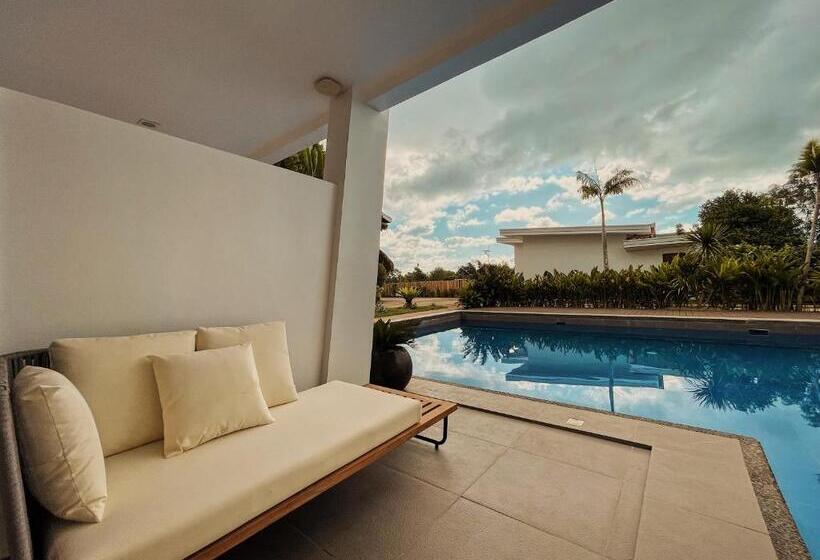 اتاق استاندارد با چشم‌انداز استخر, Molly Resort Bohol