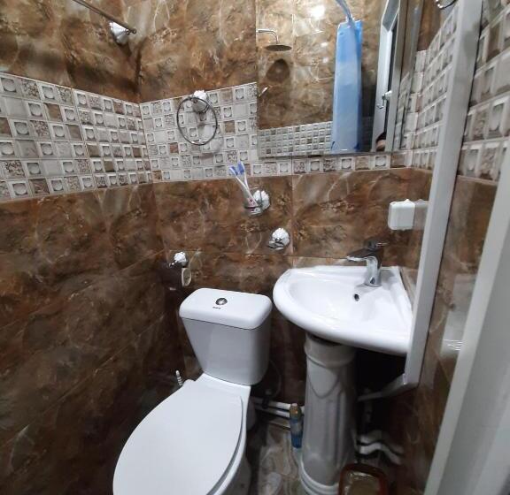 اتاق استاندارد, Erebuni Plaza
