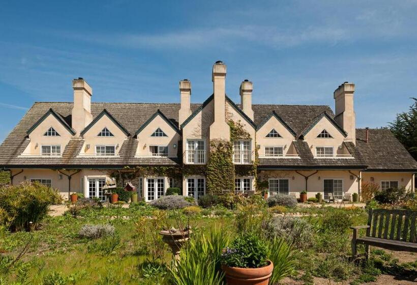 스탠다드 룸 킹사이즈 침대, Seal Cove Inn