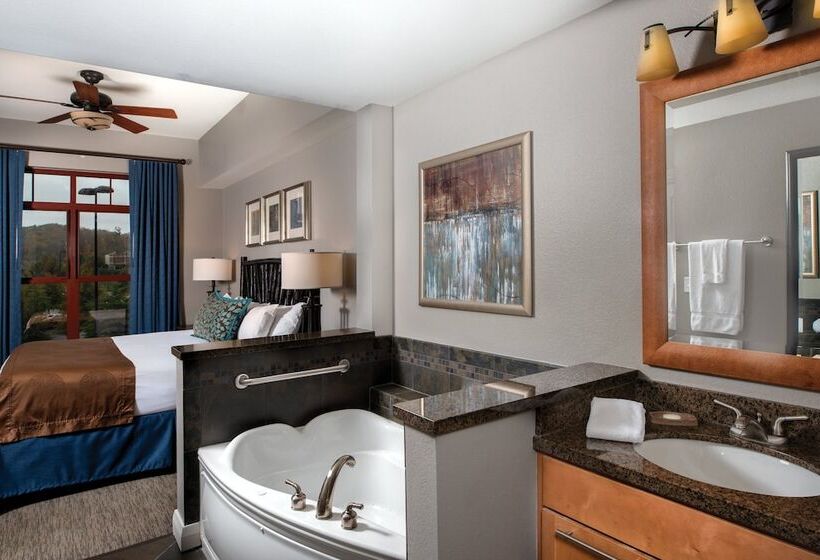带1个卧室的公寓, Club Wyndham Great Smokies Lodge