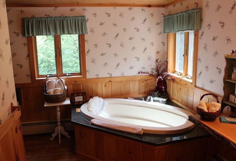 Номер Deluxe Одноместный, Kiwassa Lake Bed & Breakfast