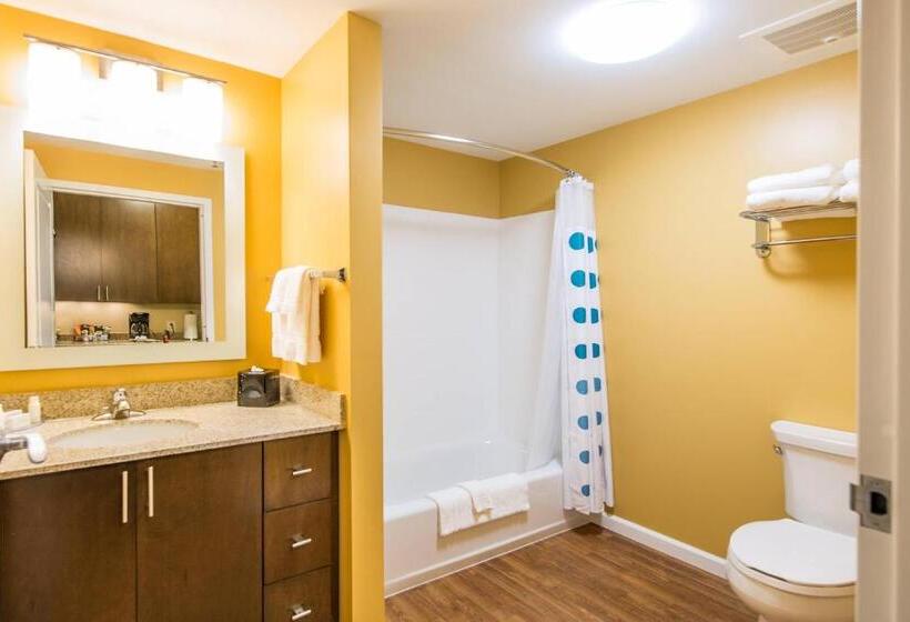 Студио Стандарт Кровать Кинг, Towneplace Suites By Marriott Florence