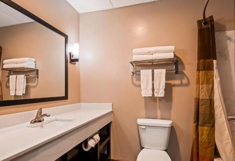 اتاق استاندارد با تخت بزرگ برای معلولان, Best Western Plus Zion West