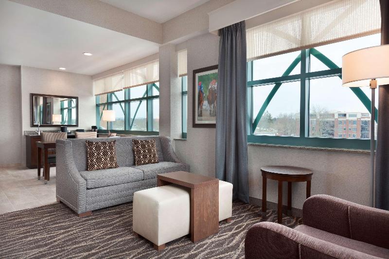 Люкс Премиум, Embassy Suites Saratoga Springs