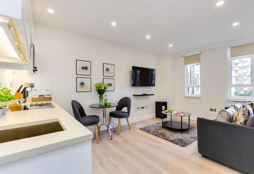 Студия Стандарт, Nell Gwynn Chelsea Accommodation