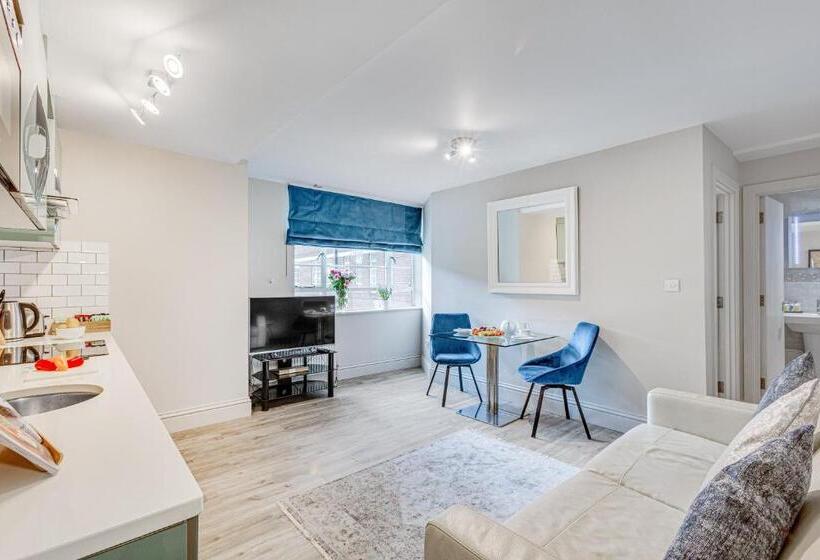 Апартаменты Superior 1 Спальня, Nell Gwynn Chelsea Accommodation