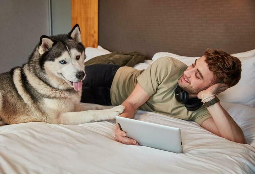 Номер Стандарт, Aloft Raleigh