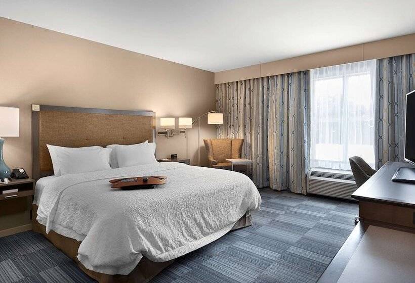 身障者適用キングサイズベッドルーム, Hampton Inn & Suites Fort Mill