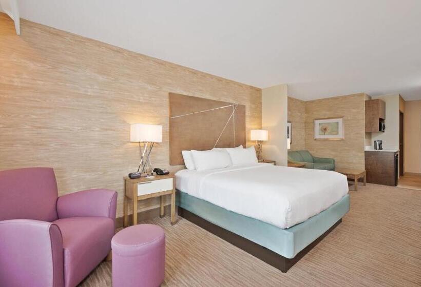 Стандартный Номер Кровать Кинг, Holiday Inn Express & Suites New Cumberland, An Ihg