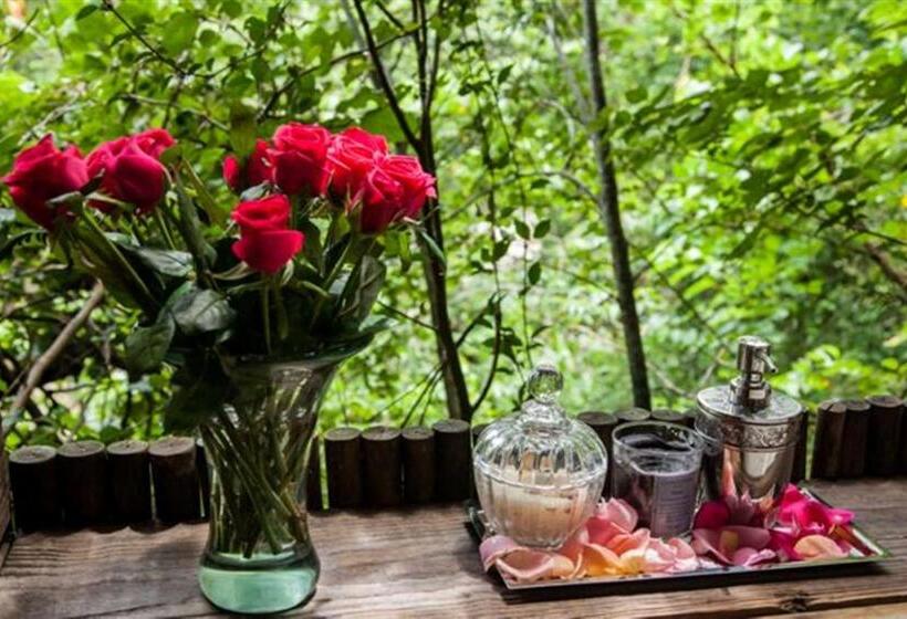 چادر با خدمات رفاهی لوکس, Summerfields Rose Retreat And Spa