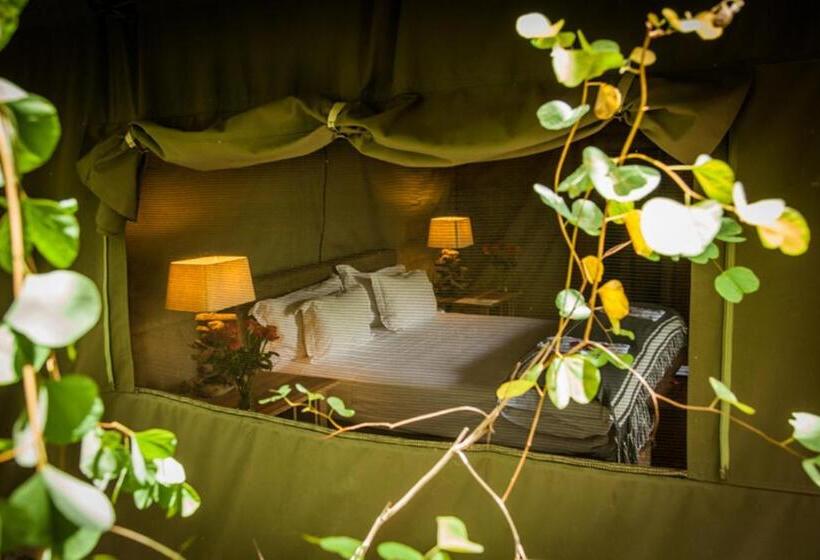 چادر با خدمات رفاهی لوکس, Summerfields Rose Retreat And Spa