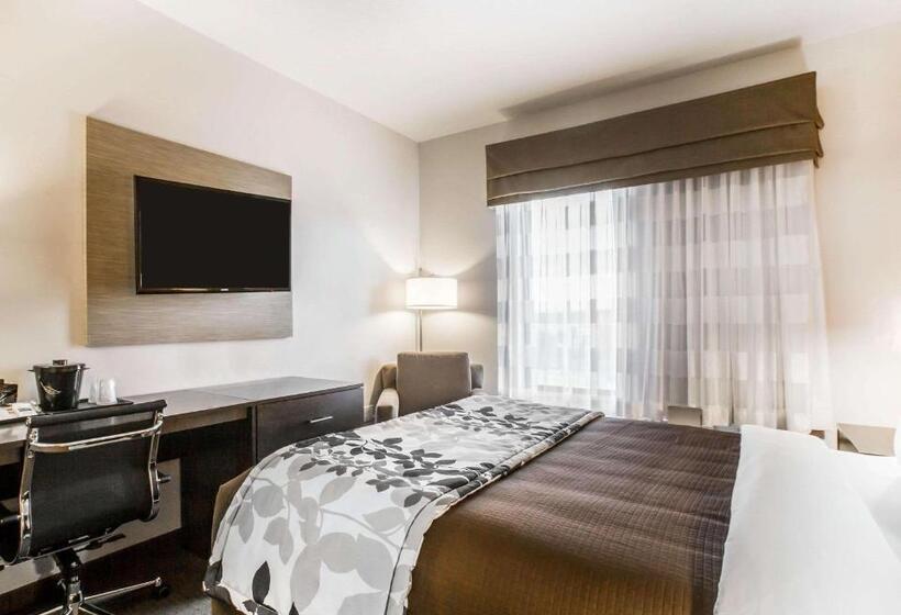 اتاق استاندارد با تخت بزرگ, Sleep Inn & Suites Page At Lake Powell