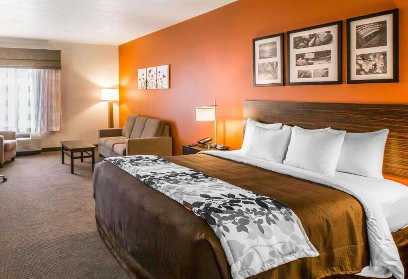 سوئیت جونیور با تخت بزرگ, Sleep Inn & Suites Page At Lake Powell