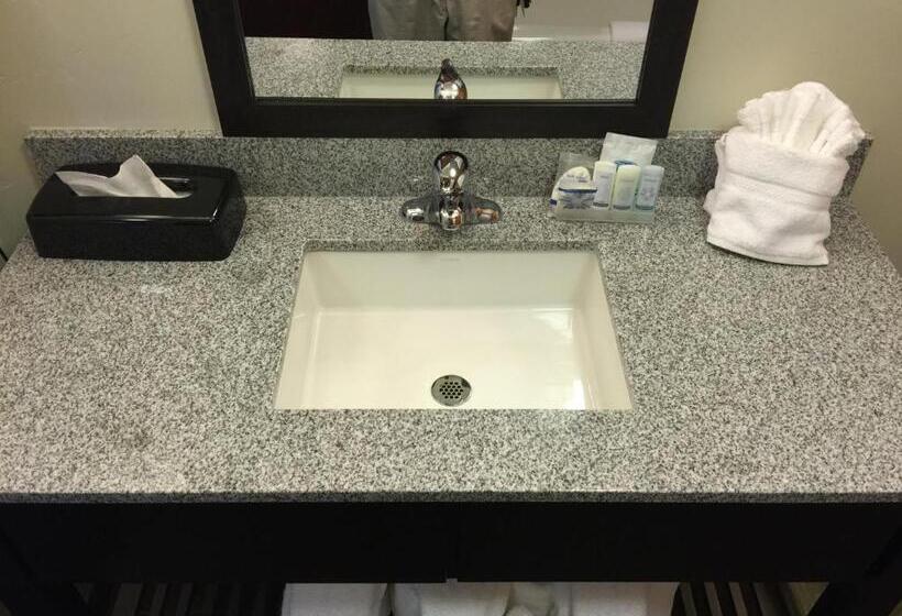 اتاق استاندارد, Sleep Inn & Suites Page At Lake Powell