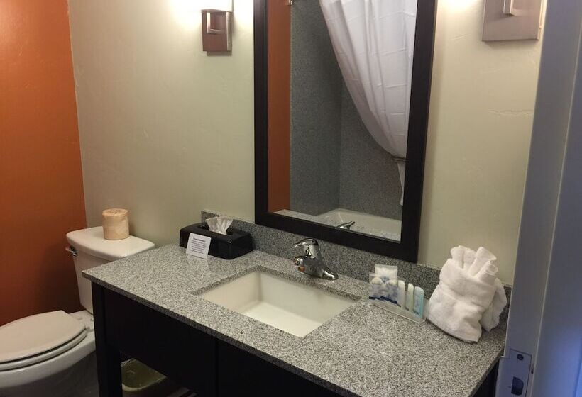 اتاق استاندارد با تخت بزرگ, Sleep Inn & Suites Page At Lake Powell