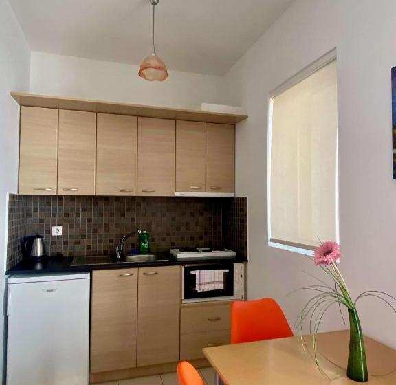 수피리어 스튜디오, Manolis Apartments Plakias