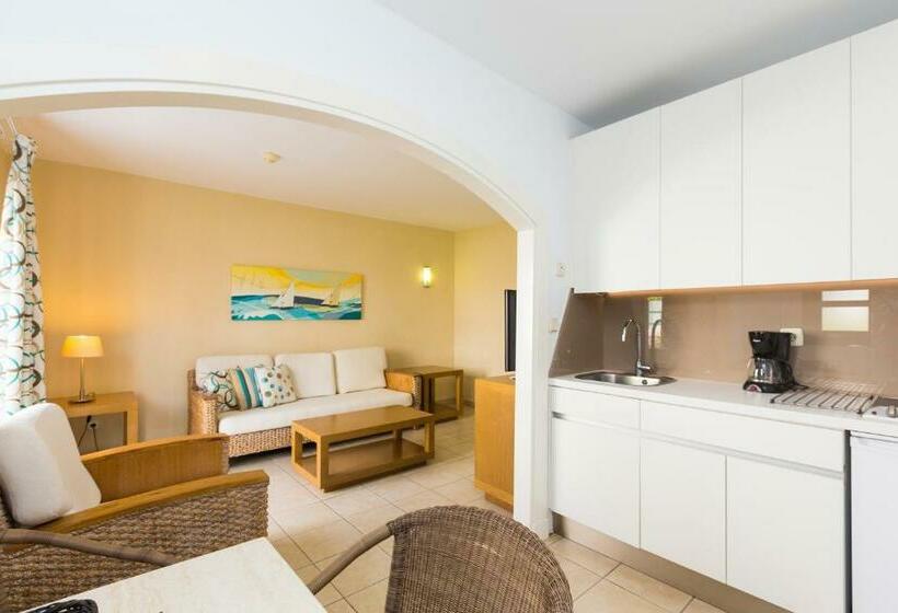 آپارتمان 1 خوابه با بالکن, Apartamentos LIVVO Puerto de Mogán