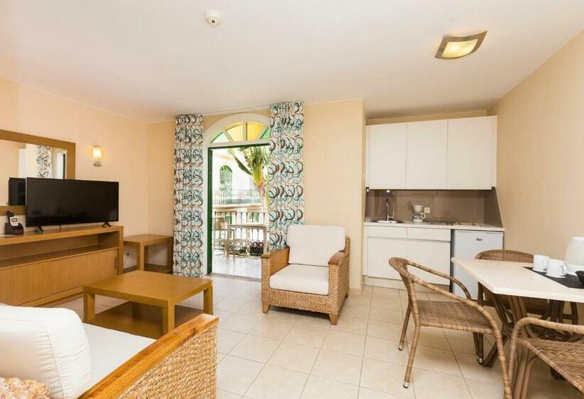آپارتمان سوپریور 1 خوابه, Apartamentos LIVVO Puerto de Mogán
