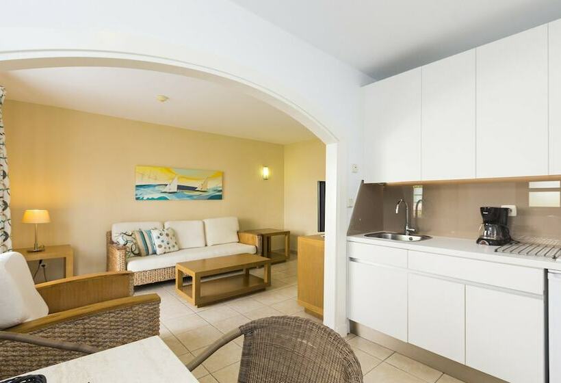 آپارتمان سوپریور 1 خوابه, Apartamentos LIVVO Puerto de Mogán