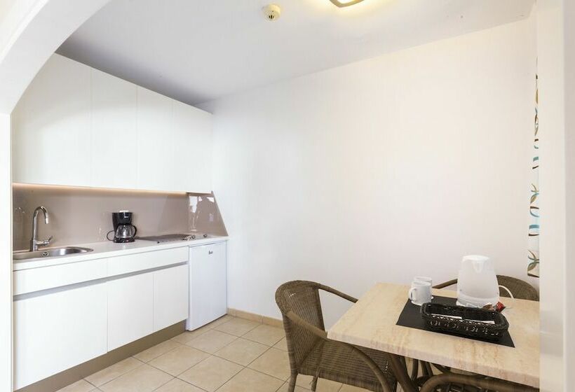 آپارتمان سوپریور 1 خوابه, Apartamentos LIVVO Puerto de Mogán