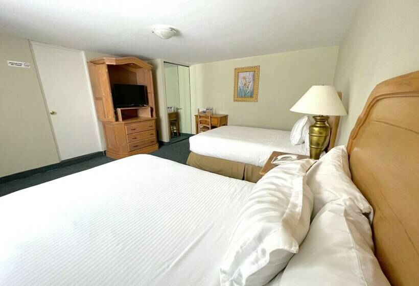 ２ダブルベッドのスタンダードルーム, Biohotel Metepec