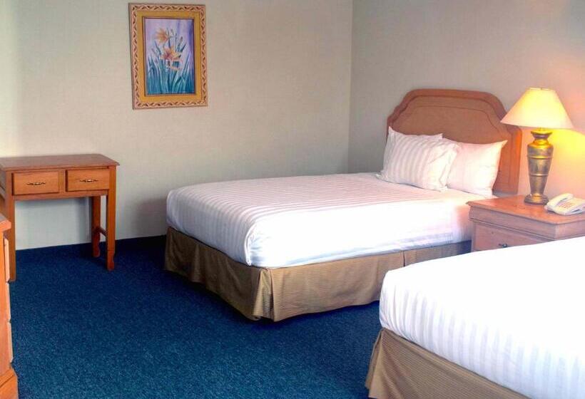 ２ダブルベッドのスタンダードルーム, Biohotel Metepec