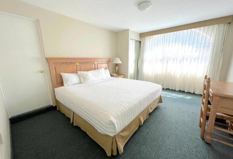 キングサイズベッドのデラックスルーム, Biohotel Metepec