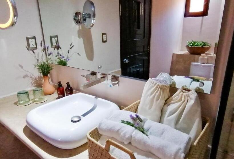 テラス付スイート, Casona Alonso 10  Hotelito Mexicano