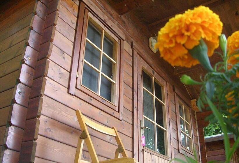 Номер Стандарт Вид на Море с Балконом, Onur Motel Faralya Fethi̇ye
