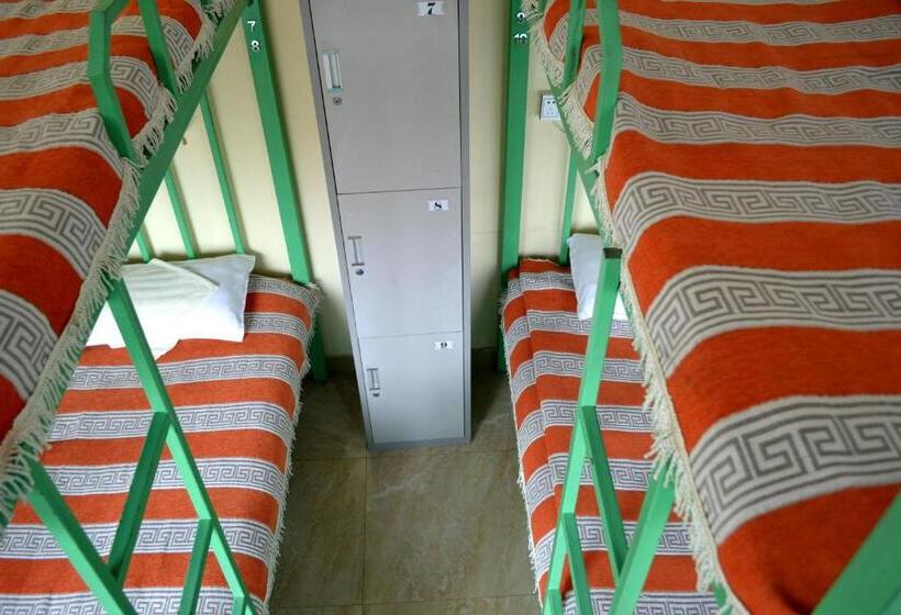 تختخواب در اتاق مشترک, Danista Nomads Tour Hostel
