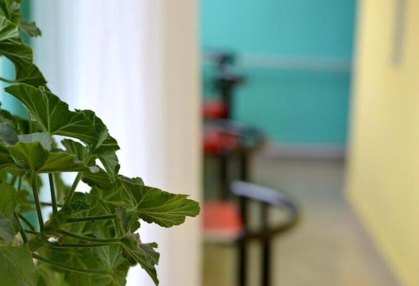 تختخواب در اتاق مشترک, Danista Nomads Tour Hostel