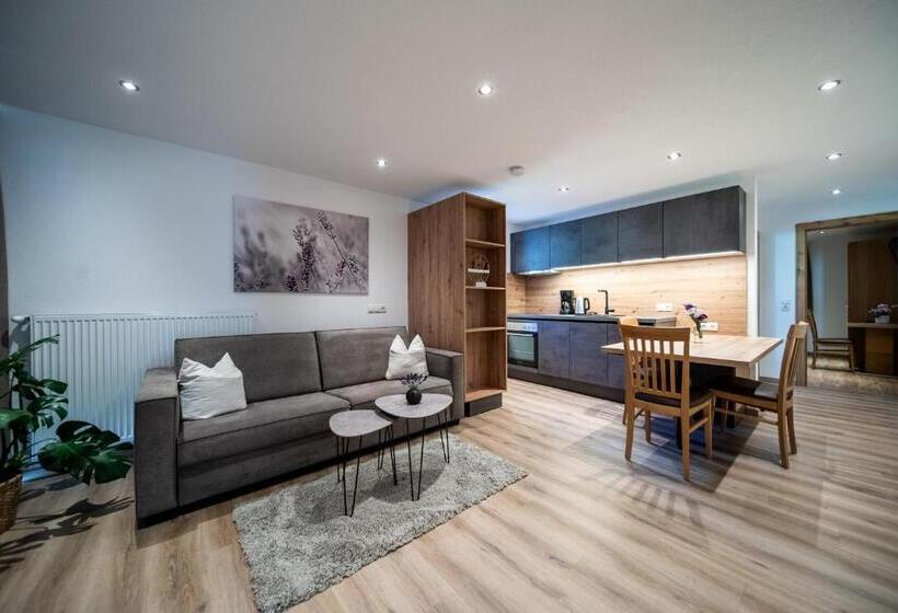 آپارتمان 1 خوابه, Appartements Tyrol
