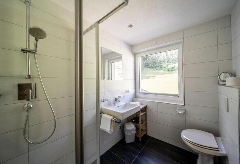 آپارتمان 1 خوابه, Appartements Tyrol
