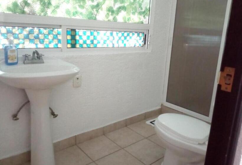 اتاق استاندارد, Hostal Cuija Coyoacán