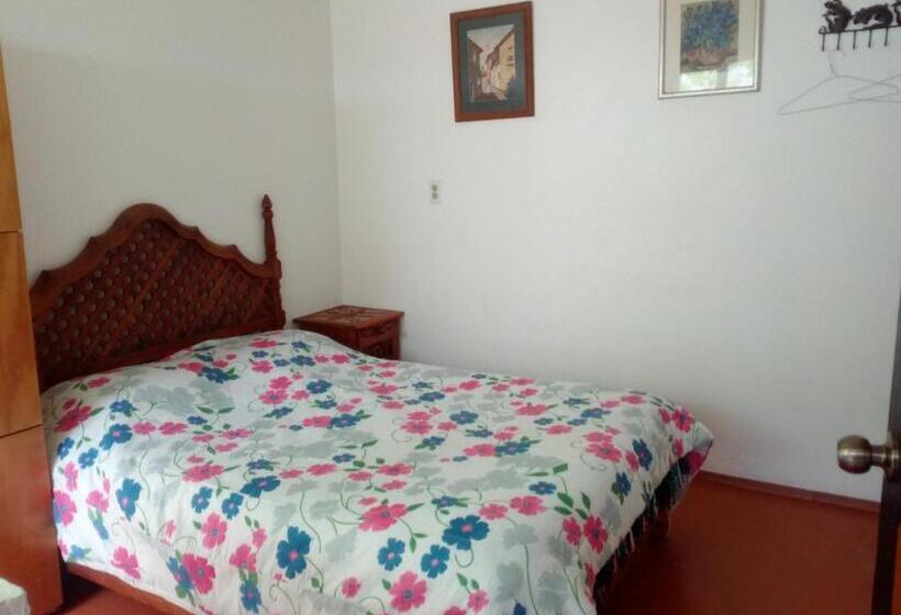 اتاق لوکس, Hostal Cuija Coyoacán
