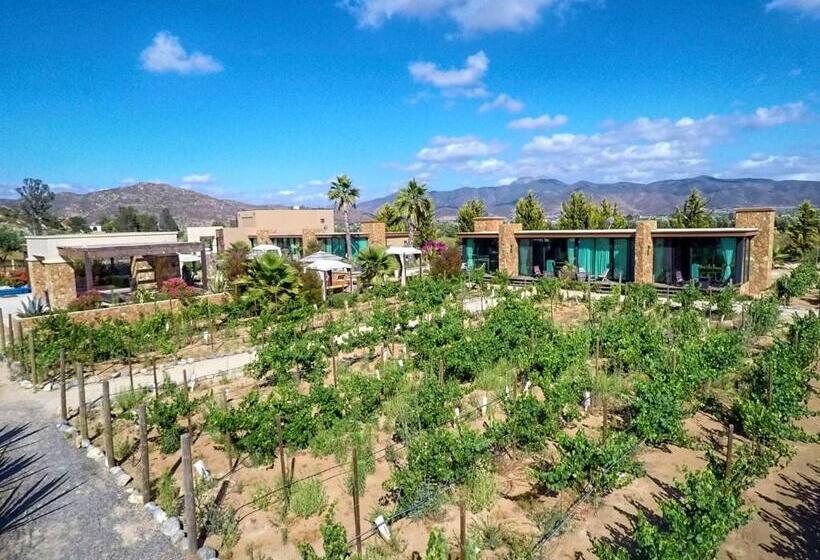 マスタールーム, Boutique Valle De Guadalupe & Spa