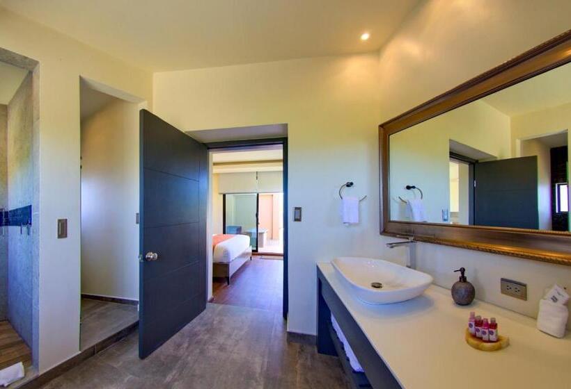 １ベッドルームペントハウスアパート, Boutique Valle De Guadalupe & Spa